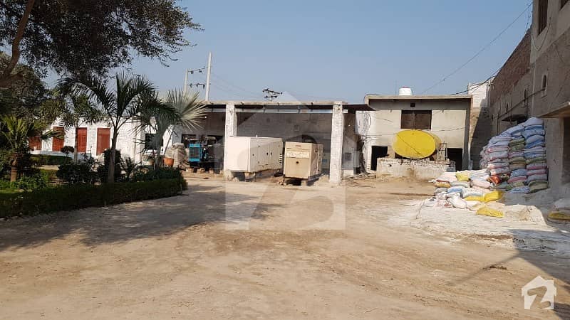 For Sale Poultry Form With Feed Factory In Kamalia
