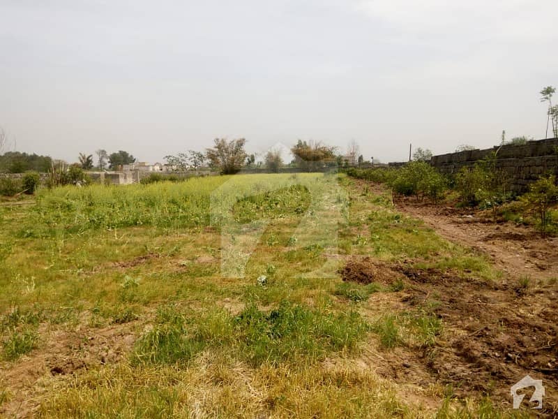 10 Kanal Land Available For Rent In Chak Shahzad Farm Houses