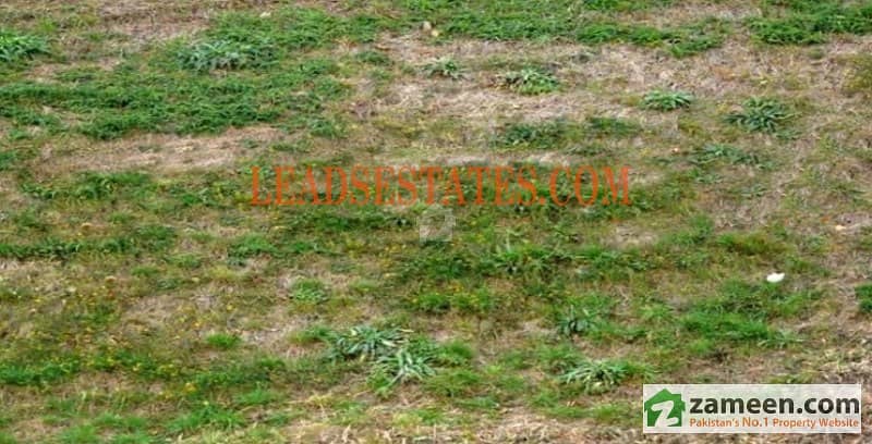 1 Kanal Good Location Plot For Sale In DHA