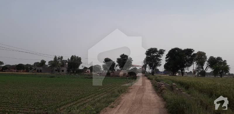 Agriculture Land Is Available For Sale Agriculture Land Is Available For Sale