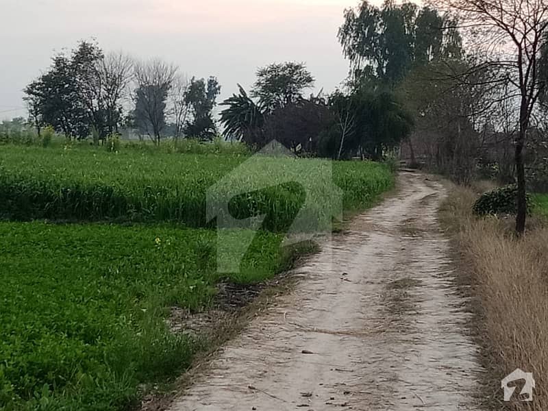 120 Kanal Agriculture Land For Sale In Nankana Sahib Bypass  Interchange