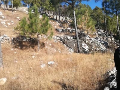 10 Kanal Land For Sale 10 Kanal Land For Sale