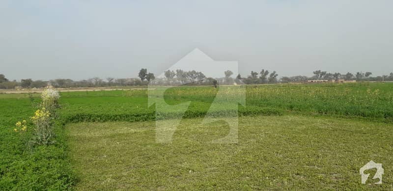 واہگہ لاہور میں 28 کنال زرعی زمین 1. 75 کروڑ میں برائے فروخت۔