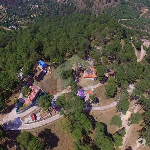 Murree Resorts Plot For Sale