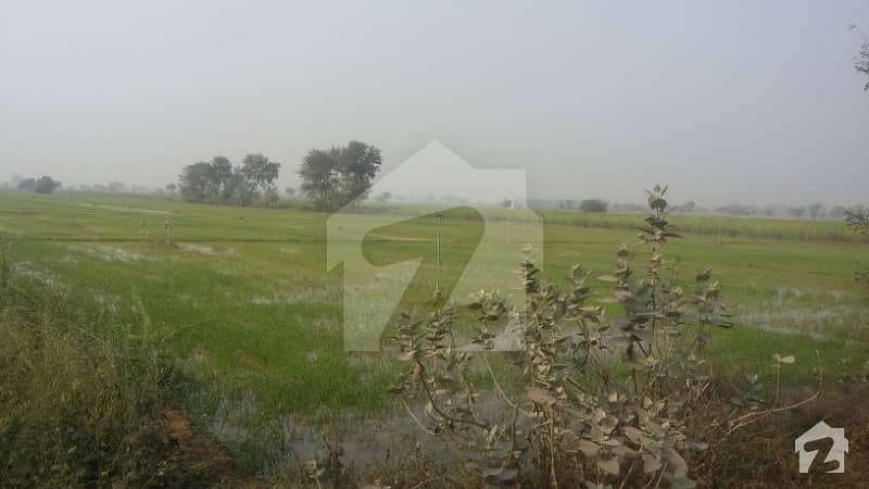 MARKs Offers 6 Muraba 150 Acre Agriculture Land For Sale in Okara Road