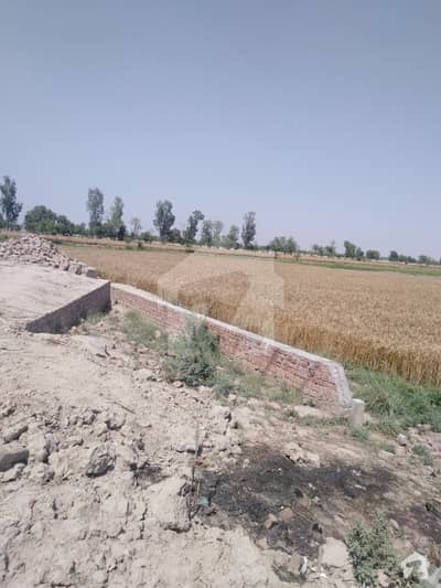 50 Kanal Land For Sale 552 Feet Front Okara Depalpur Road Very Nice And Hot Location Beast For Industrial