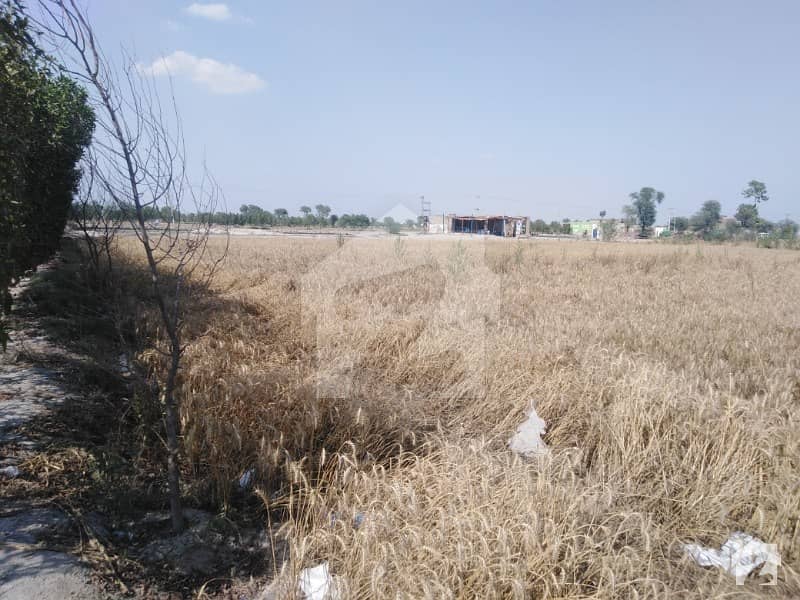 14 Acre Commercial Land For Sale In Near Depalpur Okara Road  Near Aeshia Feed Mil