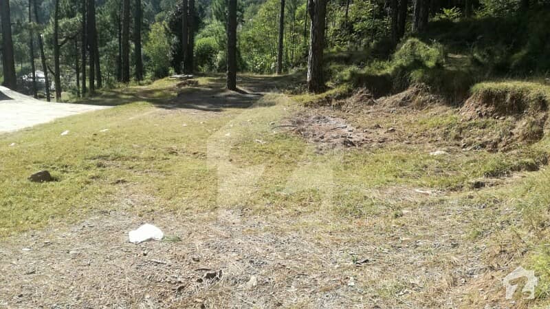 Muree Garden Plot Is Available For Sale