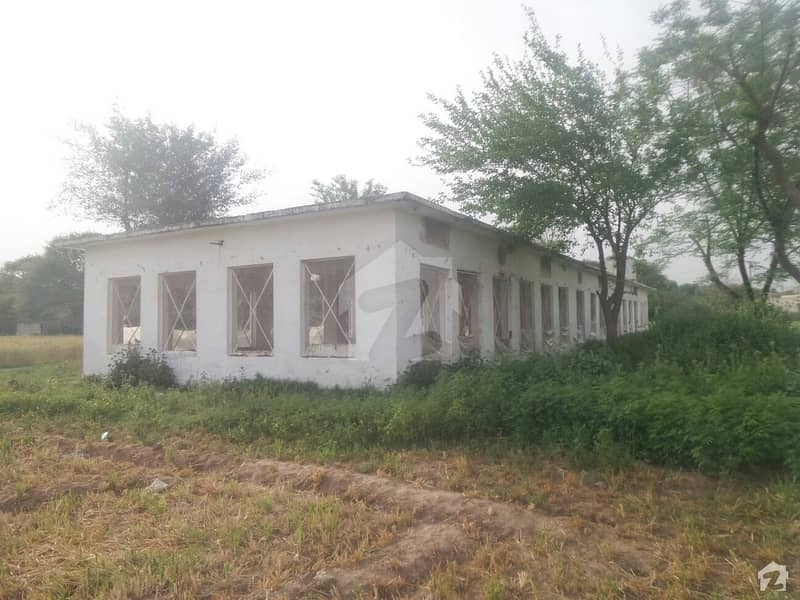 Poultry Farm Is Available For Sale