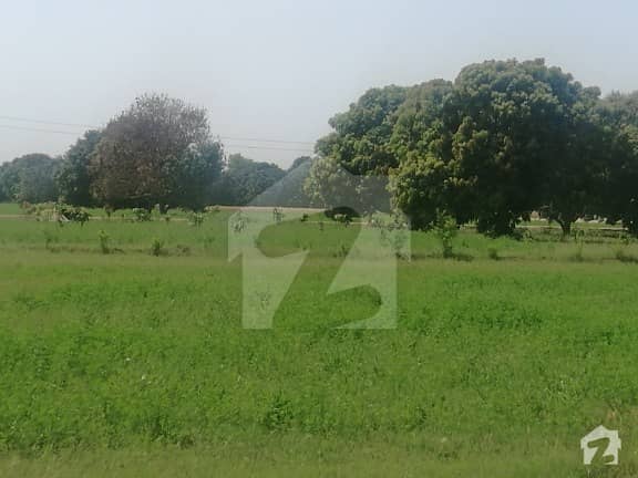 Agriculture Land For Sale