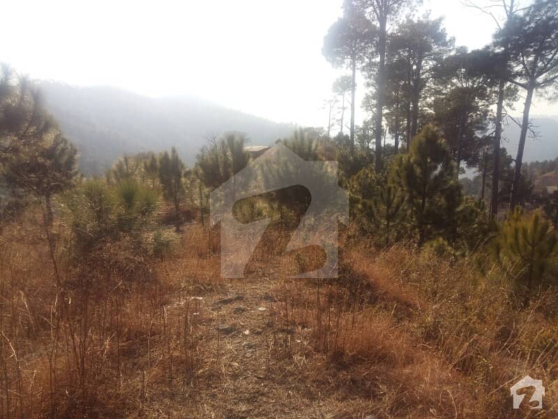 100 Kanal Land 3 Lac Per Kanal For Sale