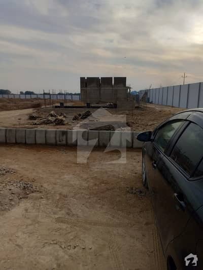 Safari Palm Village Single Storey Bungalow Is Available For Sale Safari Palm Village Single Storey Bungalow Is Available For Sale