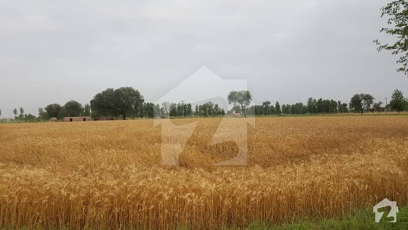 Agricultural Land Available For Sale