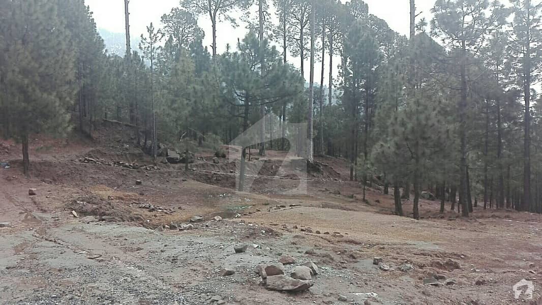 Plot Is Available For Sale Plot Is Available For Sale