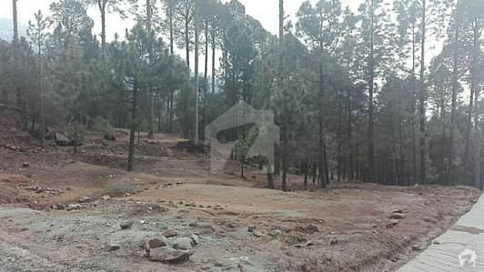 Plots Available For Sale On Angoori Road Muree Plots Available For Sale On Angoori Road Muree