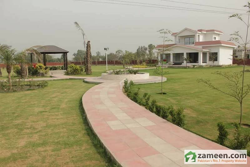 Peaceful Investment Farm House Land On Hot Location Main Barki Road