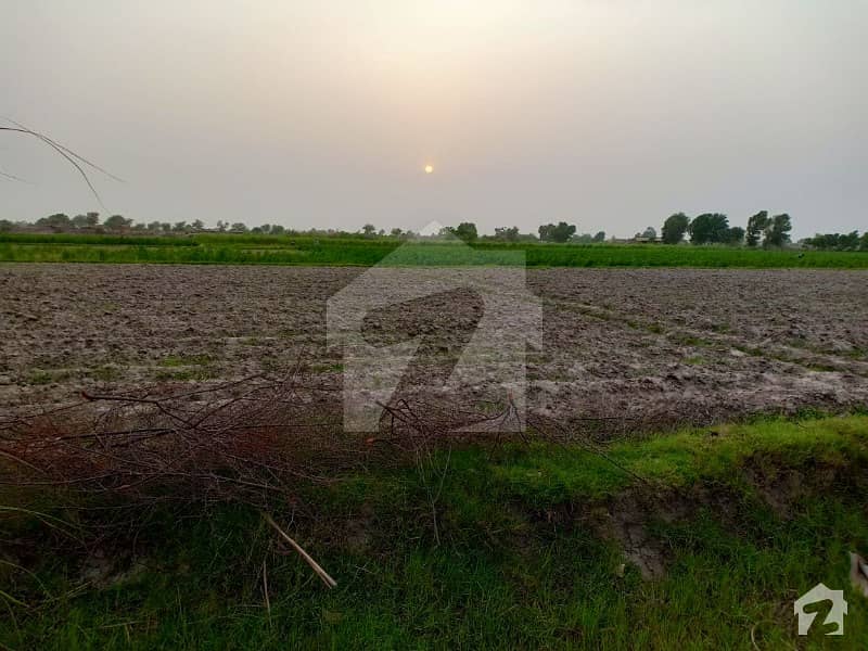Agricultural Land Is Available For Sale  Fully Irrigated