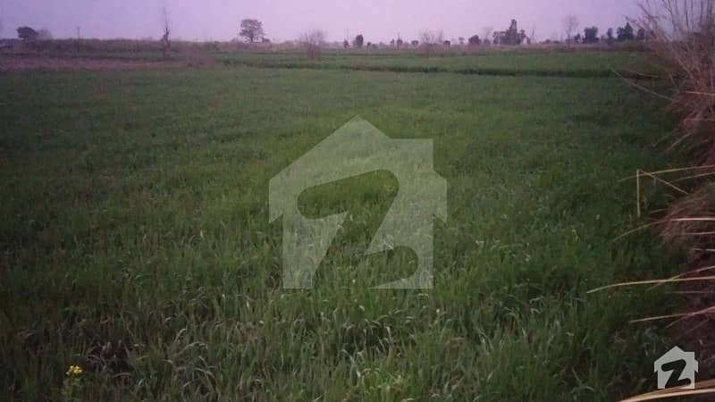 2 Marba Fully Agriculture Land Available For Sale At Link Jarranwala Road To Sityana Road  Faisalabad