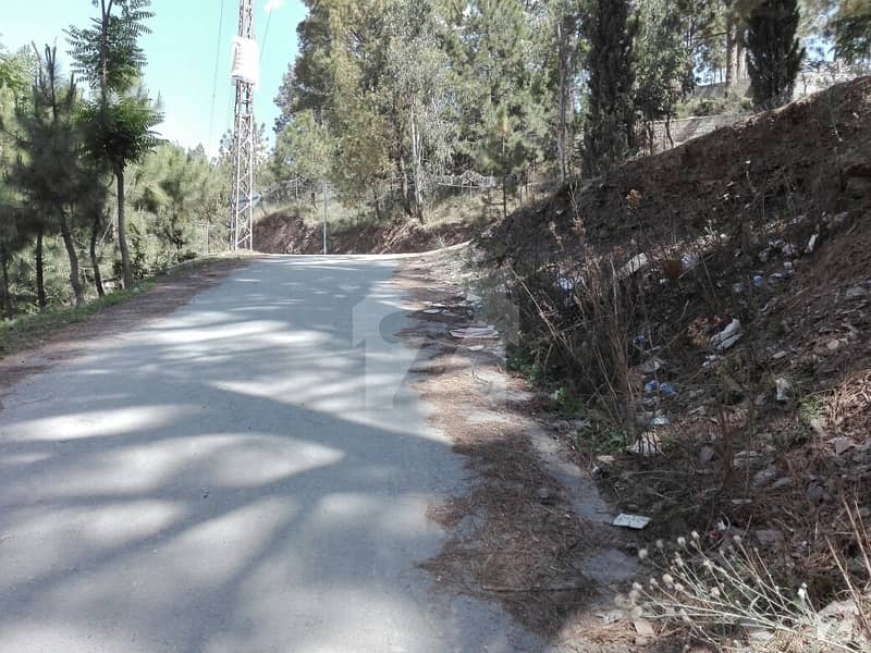 Commercial Plot Is Available For Sale At Shimla Hill Commercial Plot Is Available For Sale At Shimla Hill