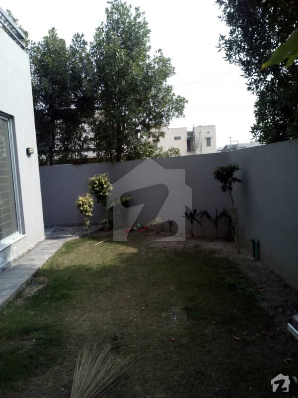 One Kanal Single Story Beautiful Bungalow Available For Rent