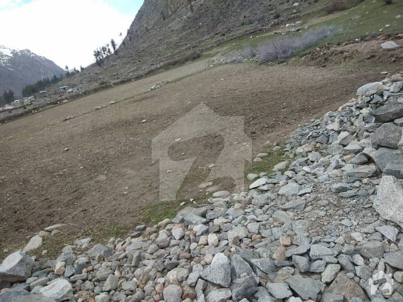 2 Kanal Land For Sale Gilgit  Naltar Valley