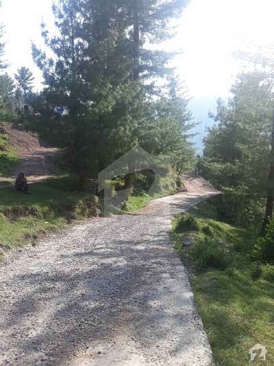 Residential Plot For Sale Residential Plot For Sale