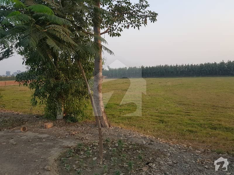 8 Kanal Land For Farm House For Sale On Barki Road