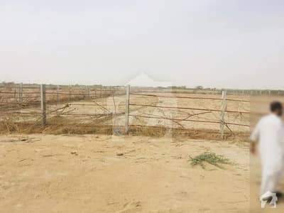 Bagh-e-Sultan Farmhouse And Dairy Land
