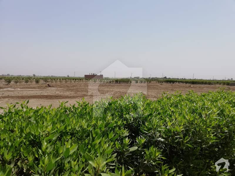 Agriculture Land Is Available For Sale Best Location At Hyderabad Road 3 Acre Front 2 Acre Back