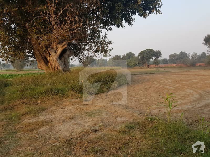 3 Kanal Land For Farm House Land For Sale On Main Bedian Road