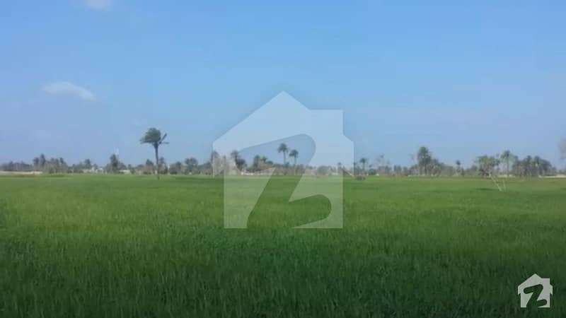 60 Acre Agricultural Land Is Available For Sale In Main Narowal Road