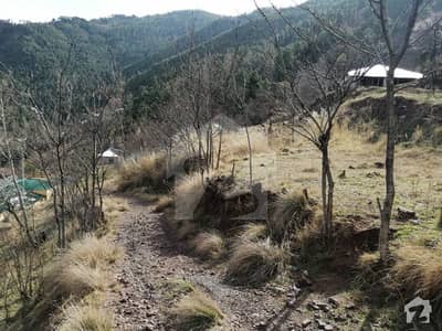 Residential Plot Is Available For Sale Residential Plot Is Available For Sale