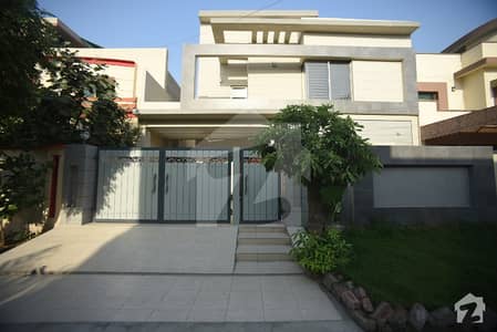 Brand New Owner Needy Bungalow Brand New Owner Needy Bungalow