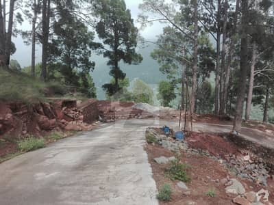 The Good Location Plot For Investment Purpose The Good Location Plot For Investment Purpose