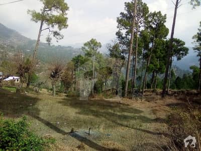 5 Marla Plot In Cool Area New Murree 5 Marla Plot In Cool Area New Murree