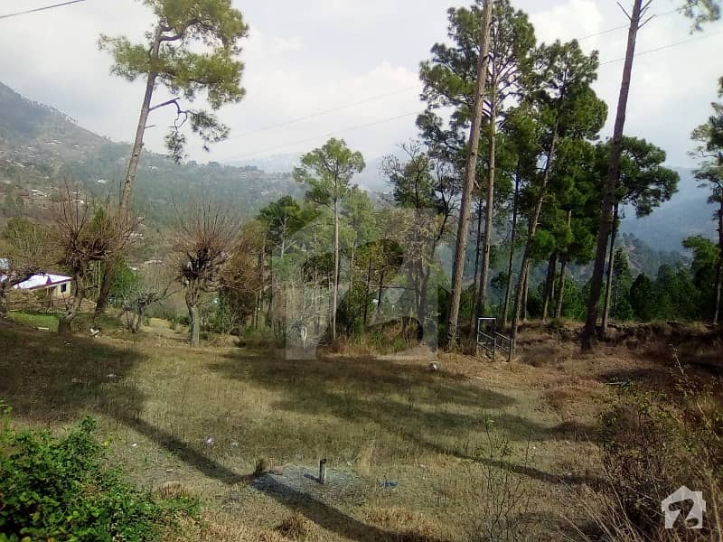 5 Marla Plot In Cool Area New Murree 5 Marla Plot In Cool Area New Murree