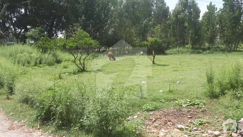 5 Kanal Land For Sale