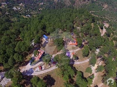 10 Marla Plot For Sale In Murree 10 Marla Plot For Sale In Murree