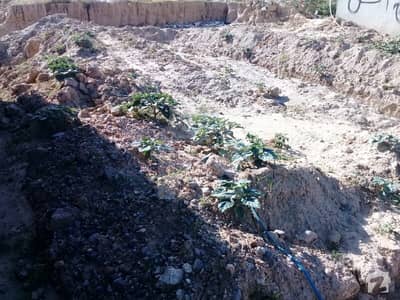 B17 B Block 35x70 Ideal Location Plot Available B17 B Block 35x70 Ideal Location Plot Available