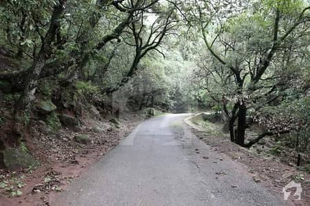 5 Marla On Very Scenic Murree Sights For Sale 5 Marla On Very Scenic Murree Sights For Sale