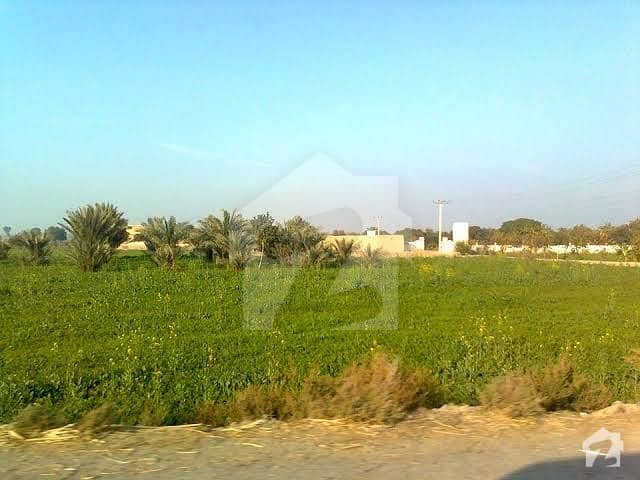400 Acre Agriculture Land For Sale In Sanghar Sindh