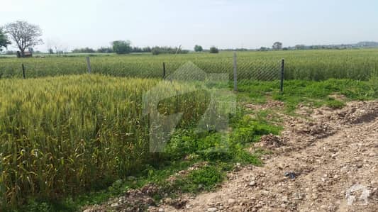 38 Kanal Farm House Real Pics Attached Adiala Road Moza Dhala On Link Road 38 Kanal Farm House Real Pics Attached Adiala Road Moza Dhala On Link Road