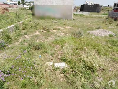 Plot For Sale In Royal City, D Block Plot For Sale In Royal City, D Block