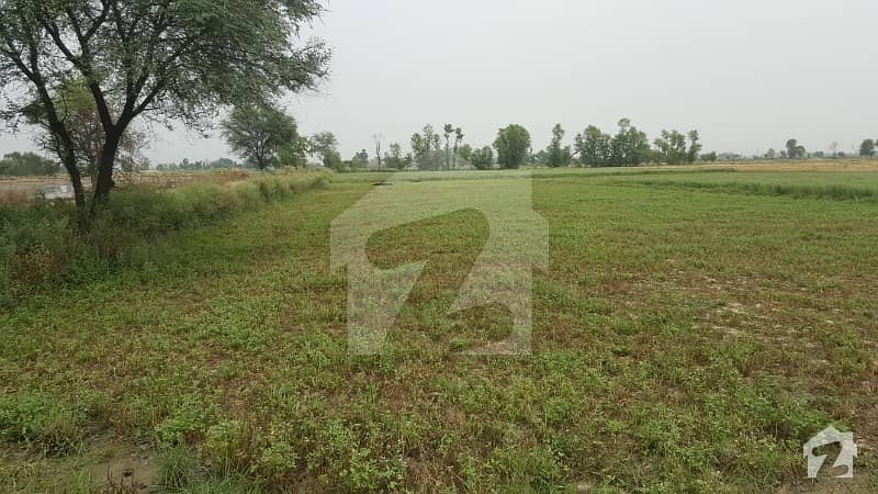 agricultural land for farm houses on carpeted road on Bedian Road.