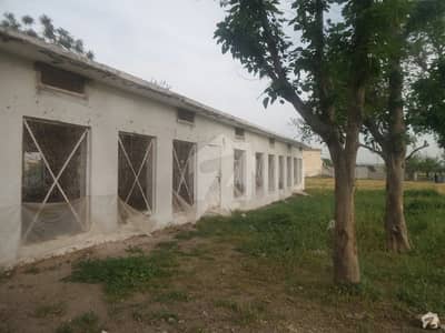 Poultry Farm Is Available For Sale