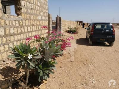 Korangi By Birth Cattle  Plots Available For Sale