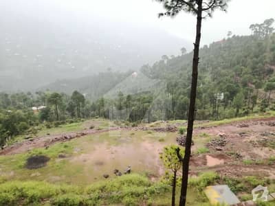 10 Marla Good Location Plot For Sale 10 Marla Good Location Plot For Sale