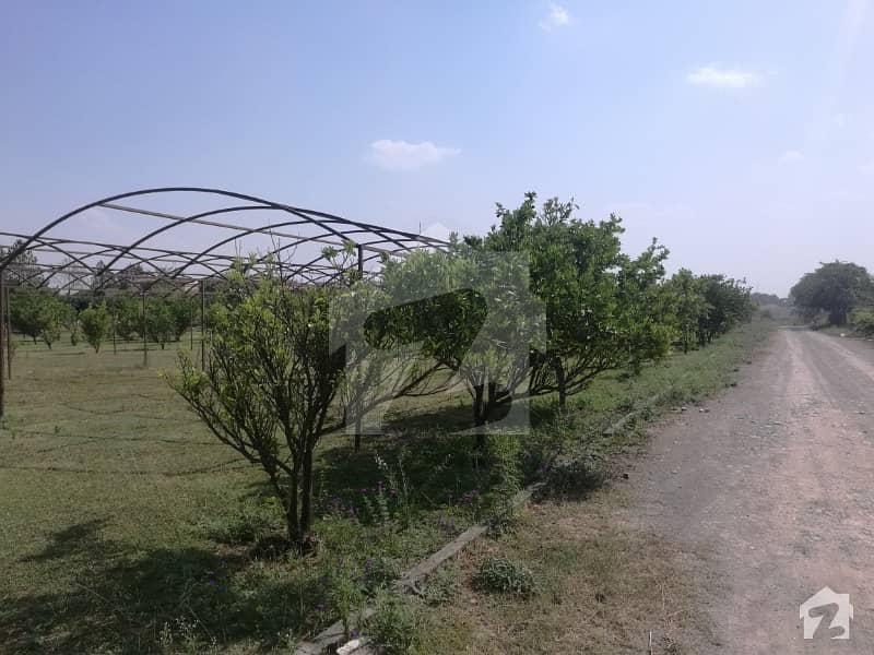 25 Kanal Beautiful  Plot Available For Sale On Main Double Road