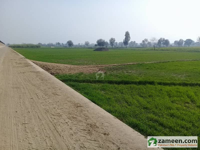 Land Near Lahore For Commercial Agriculture Purpose Multan Road, Lahore