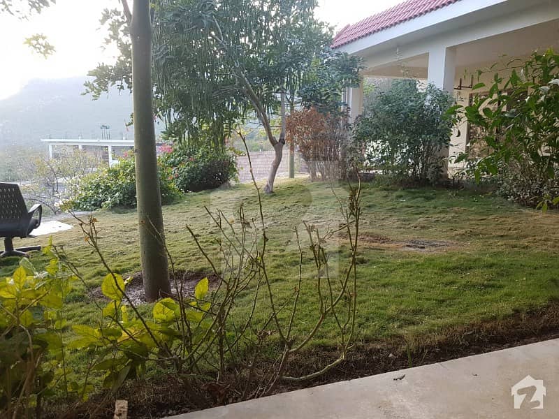 3 Beds Farm House For Rent in Islamabad 3 Beds Farm House For Rent in Islamabad